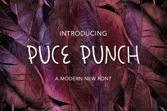 Puce Punch: A Friendly Display Font for Your Brand