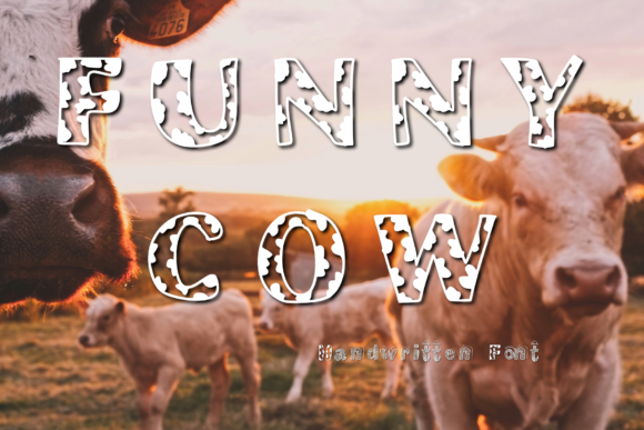 Reviewing Funny Cow: A Designer’s Take