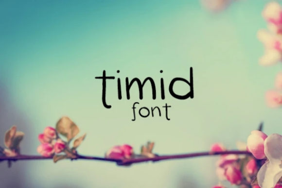 Timid Font: A Charming Display Typeface for Makers